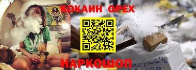 спиды Гатчина