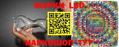 спиды Гатчина