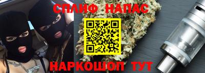 спиды Гатчина