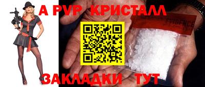 спиды Гатчина