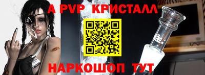 спиды Гатчина